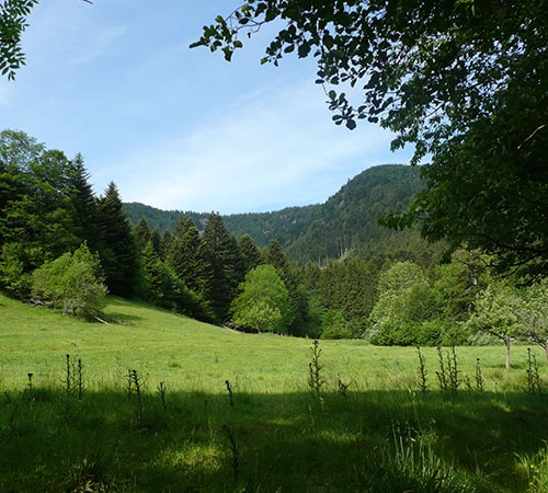 Témoignage : Ecooparc
